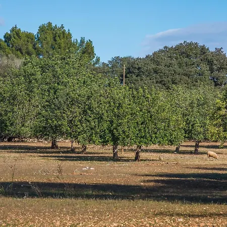 Ideal Mallorca - Laiar Country house *